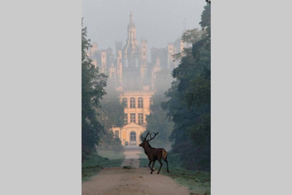 Les Bruyeres De Jeanne Et Rene Zoo De Beauval A 20Min,Chateaux Tout Inclus Fontguenand Bagian luar foto
